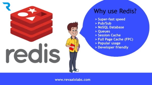 Why use Redis?